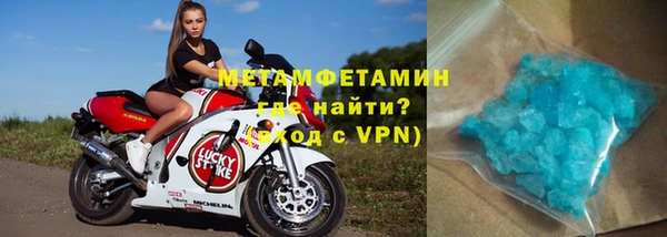 прущие грибы Корсаков