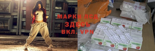 прущие грибы Корсаков