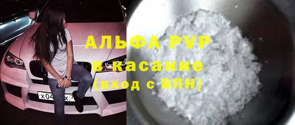 прущие грибы Корсаков