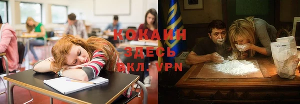 ПСИЛОЦИБИНОВЫЕ ГРИБЫ Коряжма