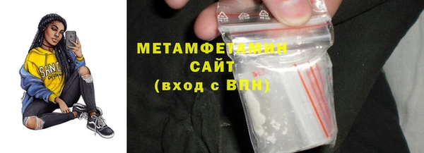 прущие грибы Корсаков