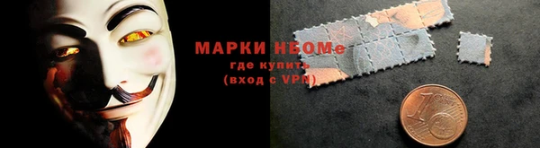 прущие грибы Корсаков