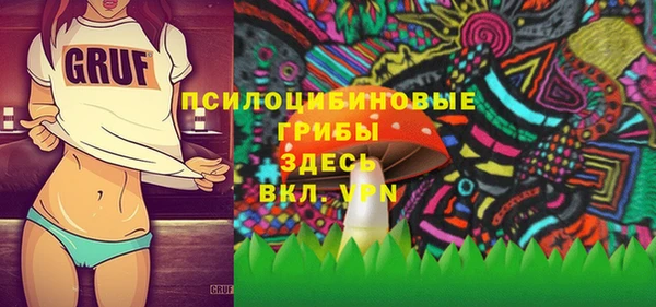ПСИЛОЦИБИНОВЫЕ ГРИБЫ Коряжма