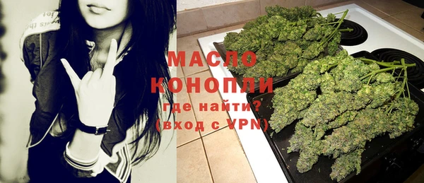 прущие грибы Корсаков