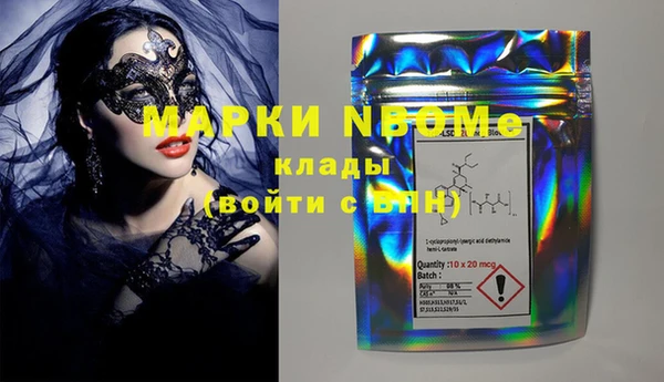 прущие грибы Корсаков