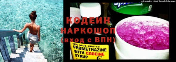 ПСИЛОЦИБИНОВЫЕ ГРИБЫ Коряжма