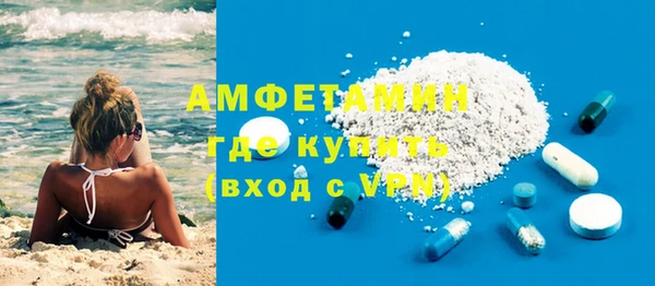 прущие грибы Корсаков