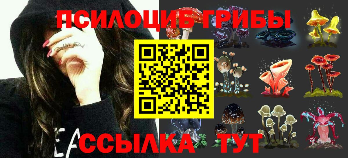 Серпухов  Псилоцибиновые грибы ЛСД  Вход с VPN  Псилоцибиновые грибы Psilocybe 